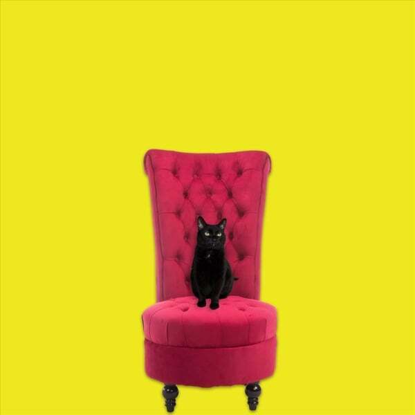 Cover art for Sounds Without Feelings